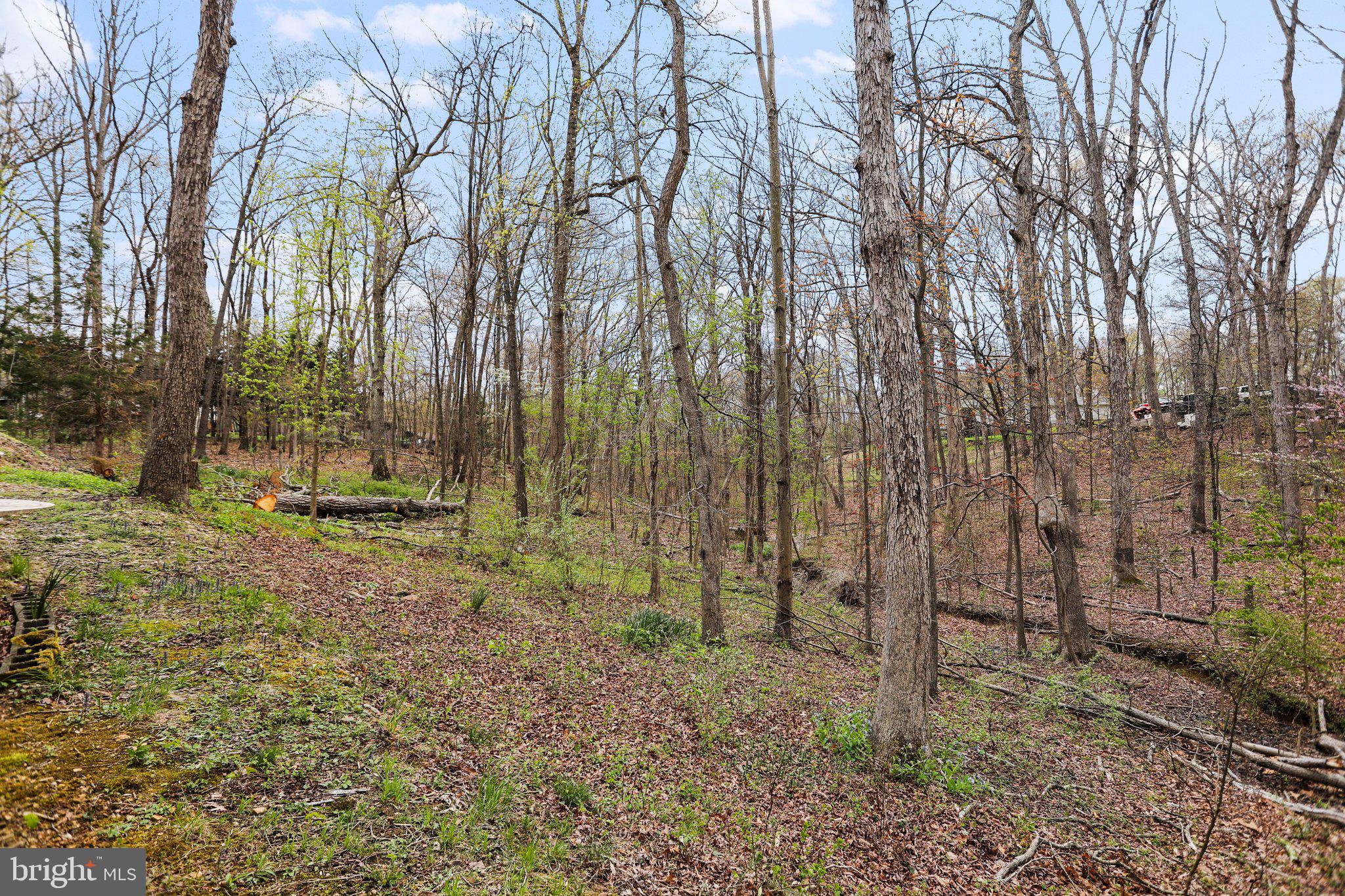 SHANNONDALE - Residential