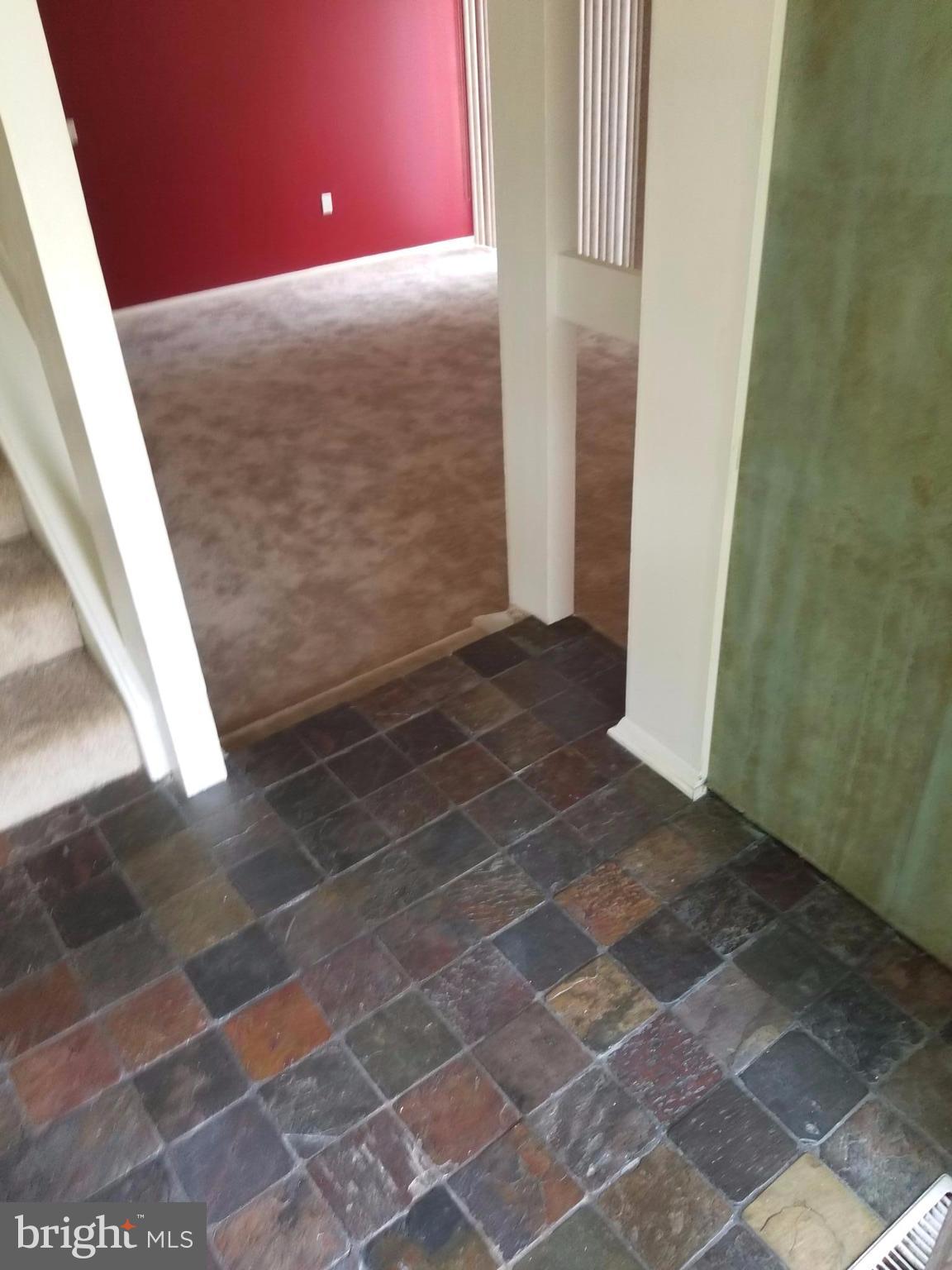 CLARY'S FOREST - Residential Lease