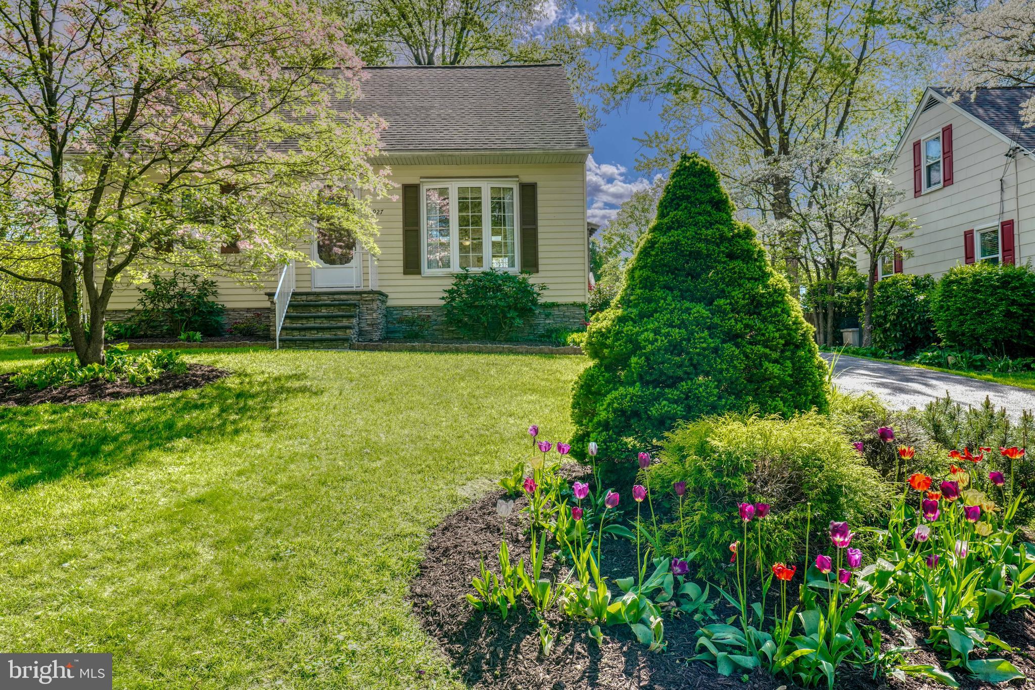 CUB HILL - Residential