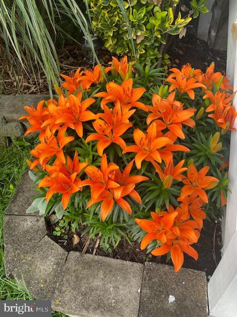 PARKVILLE - Residential