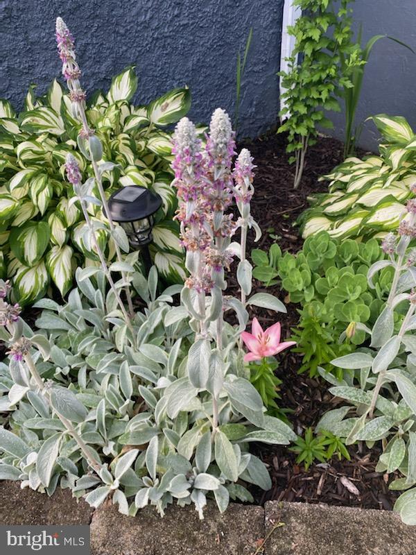 PARKVILLE - Residential