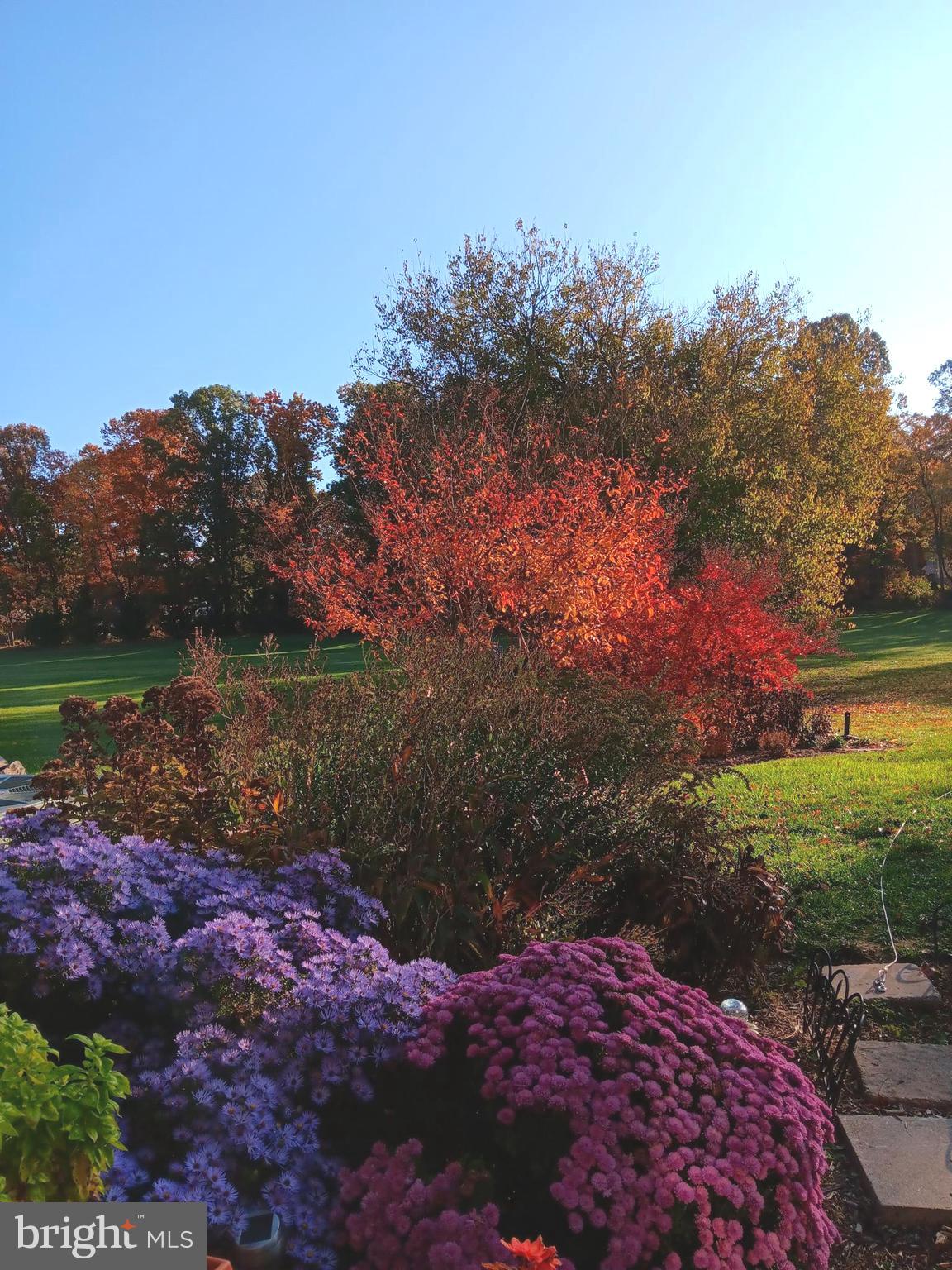 LOCUST HILL - Residential