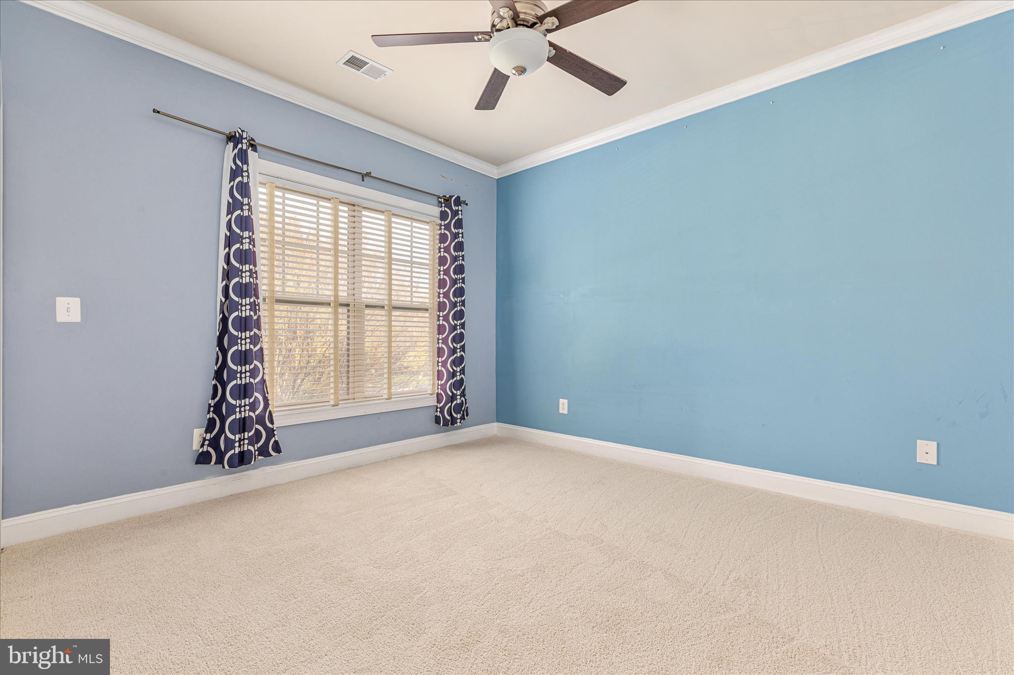 VILLAGES OF PIEDMONT - Residential