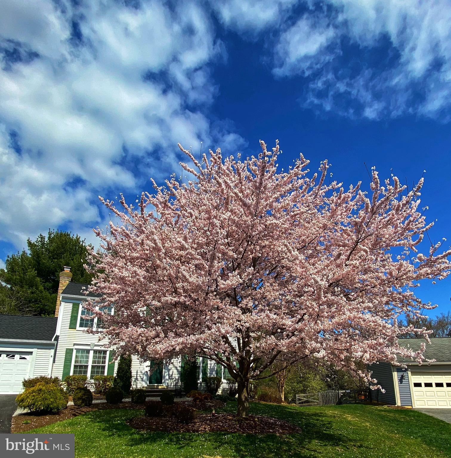 OAK SPRINGS - Residential