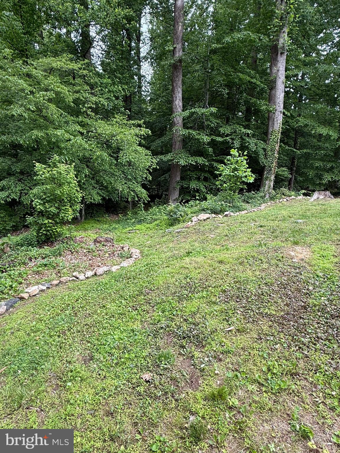 ORANGE HUNT ESTATES - Residential