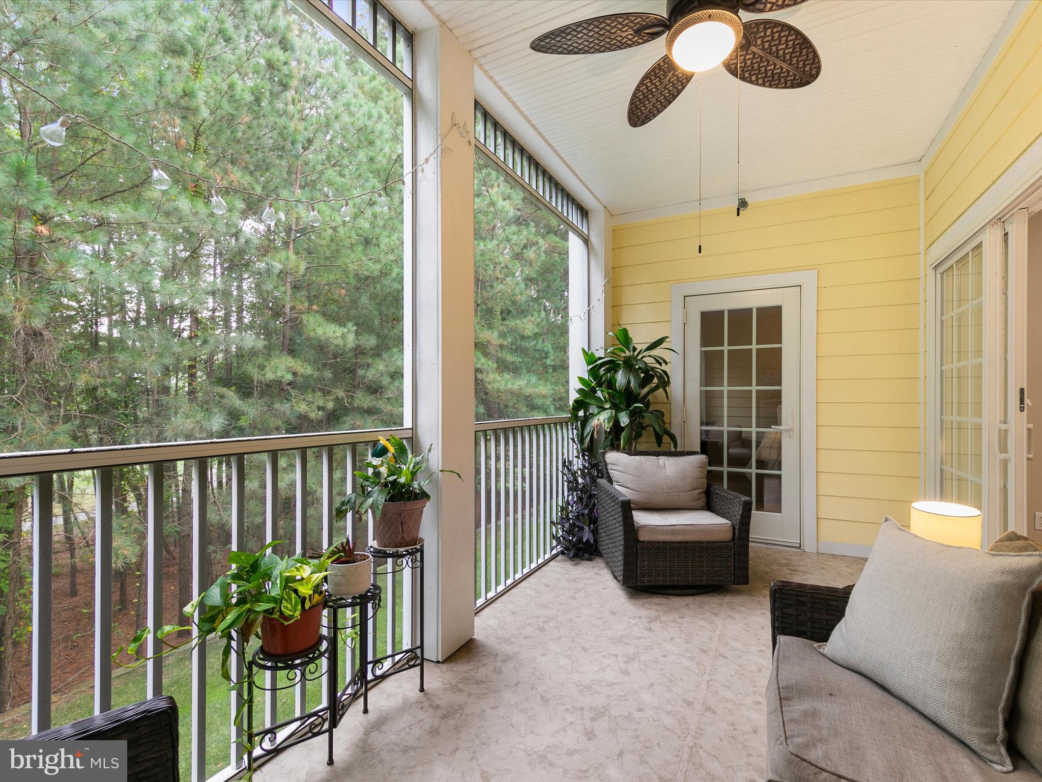 33579 WINDSWEPT 8205