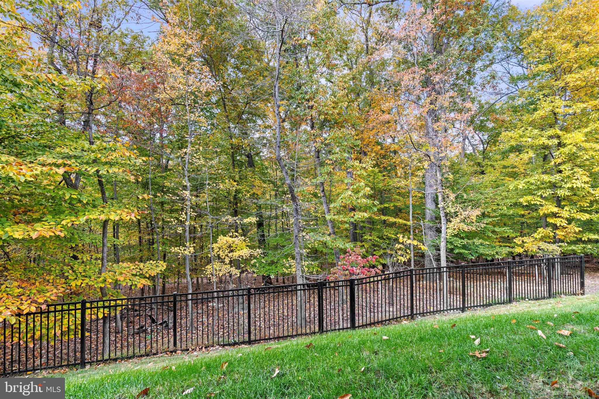 NEW MARKET - Residential