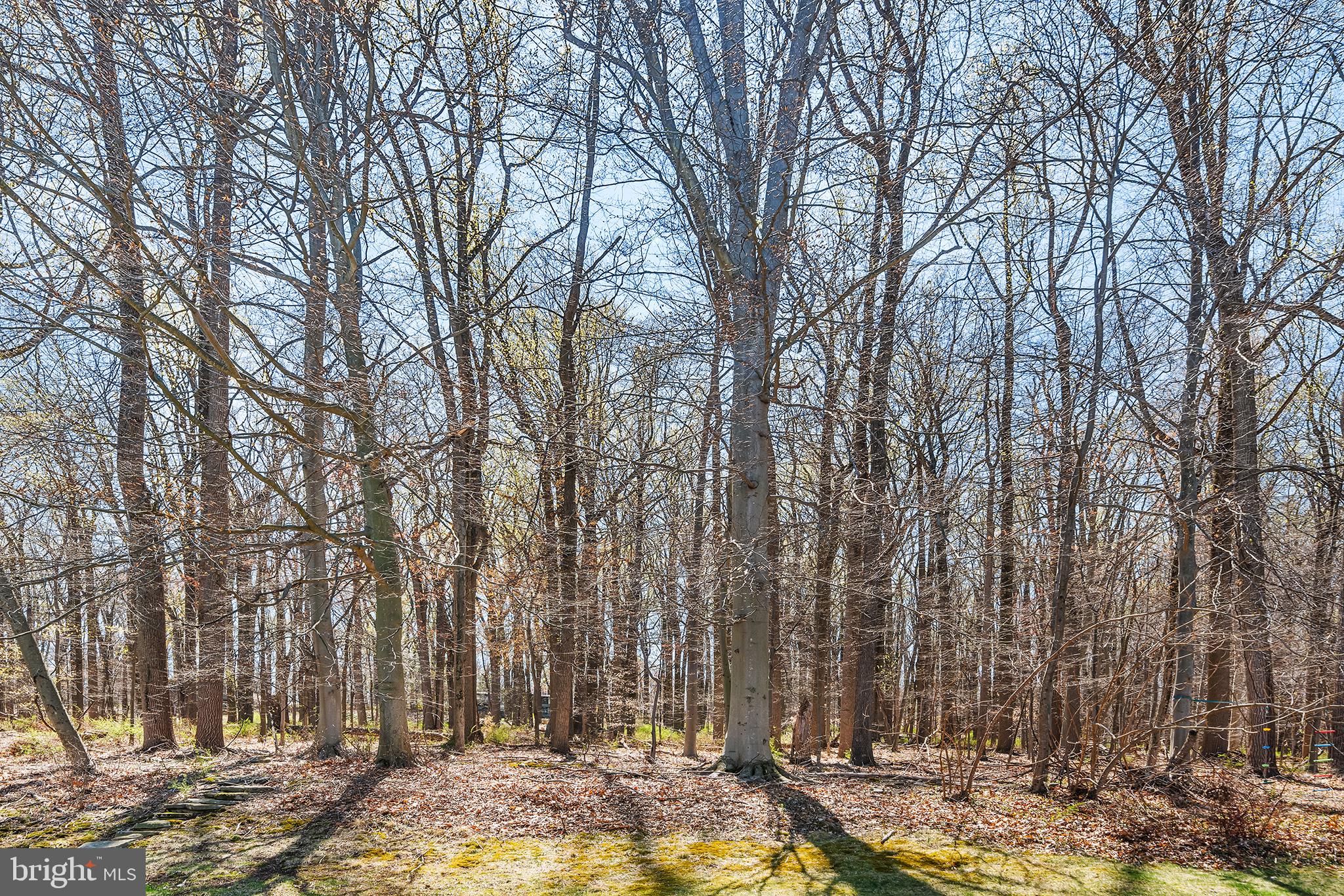 FREEDOMVIEW ESTATE - Residential