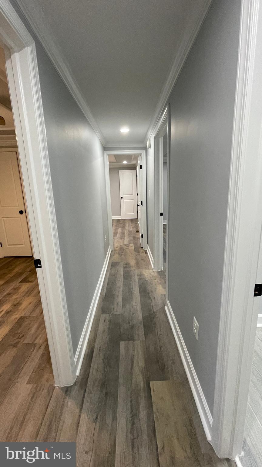 ELMWOOD - Residential