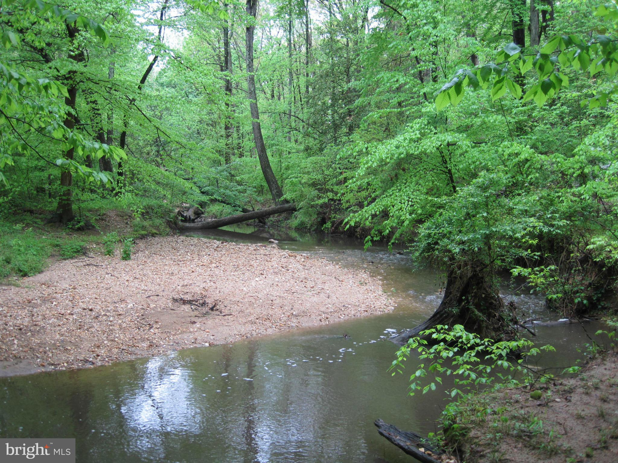 SPRINGBROOK FOREST - Residential Lease