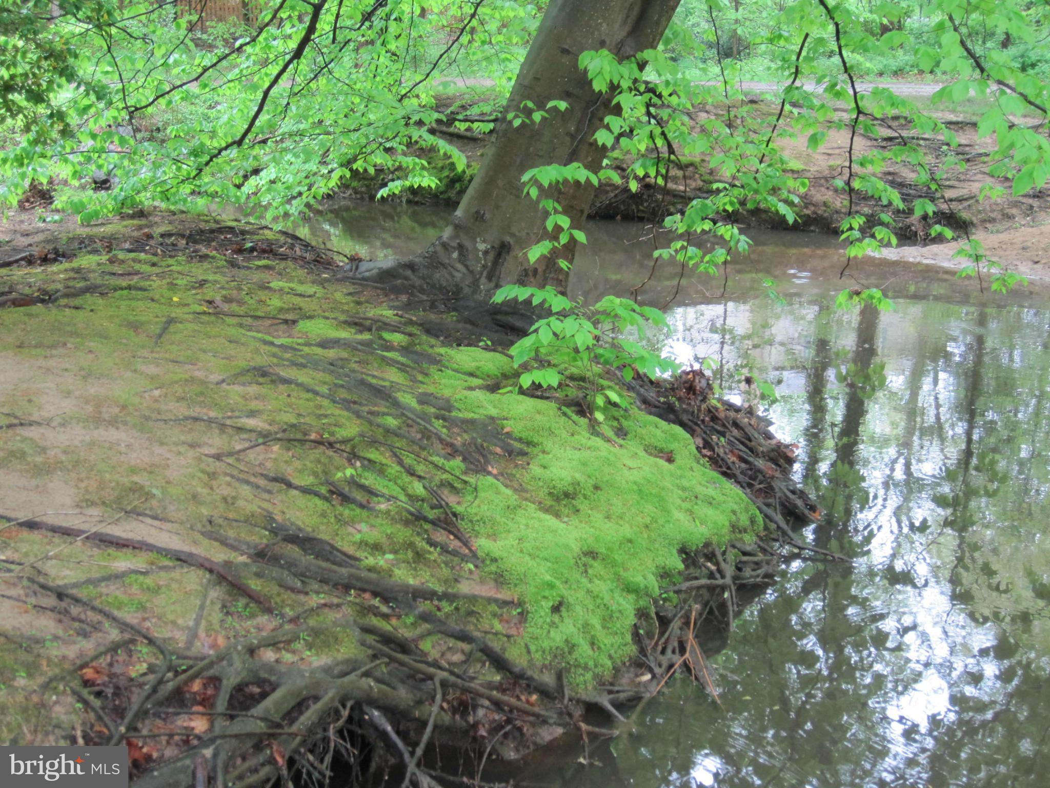 SPRINGBROOK FOREST - Residential Lease