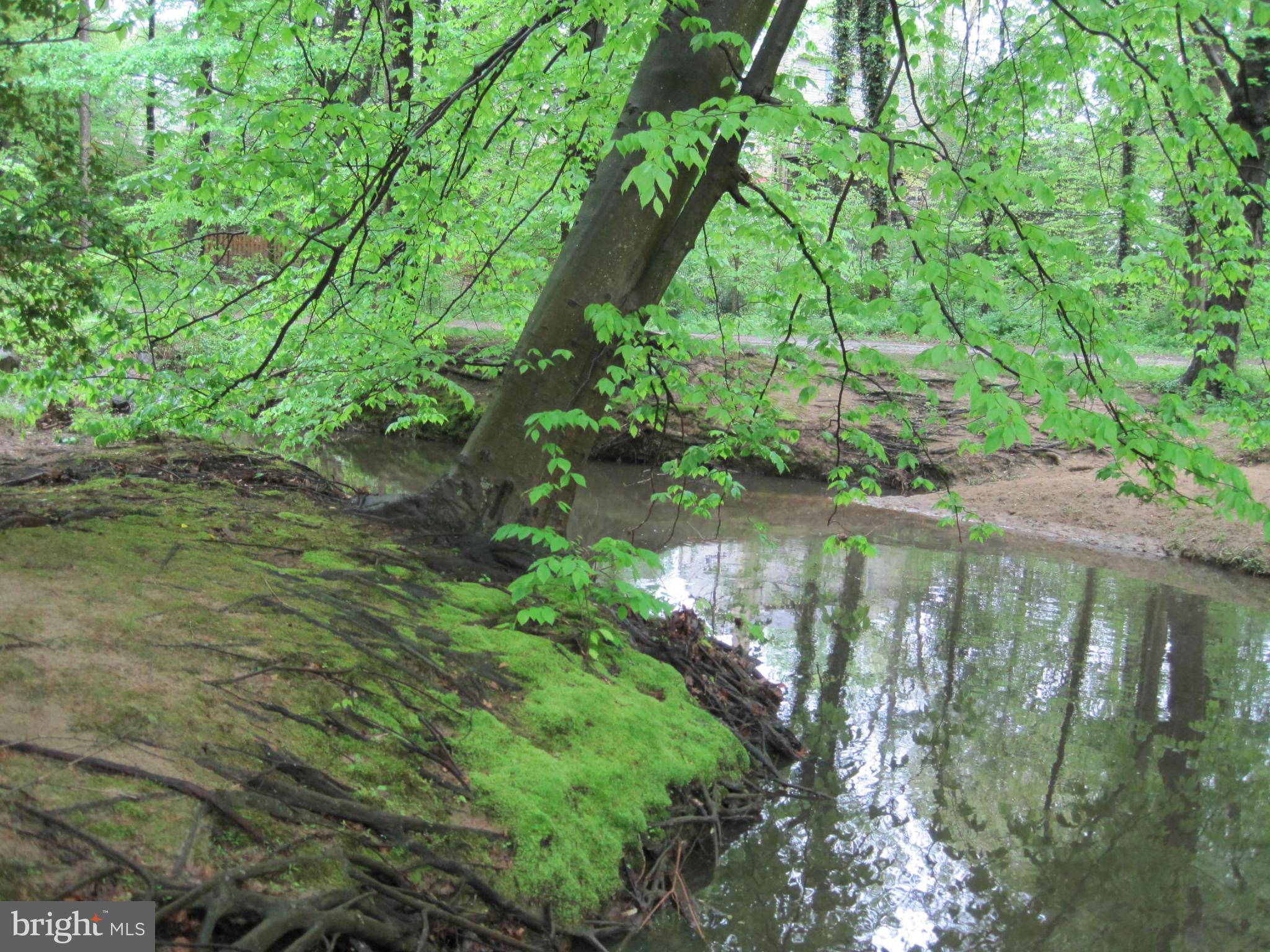 SPRINGBROOK FOREST - Residential Lease