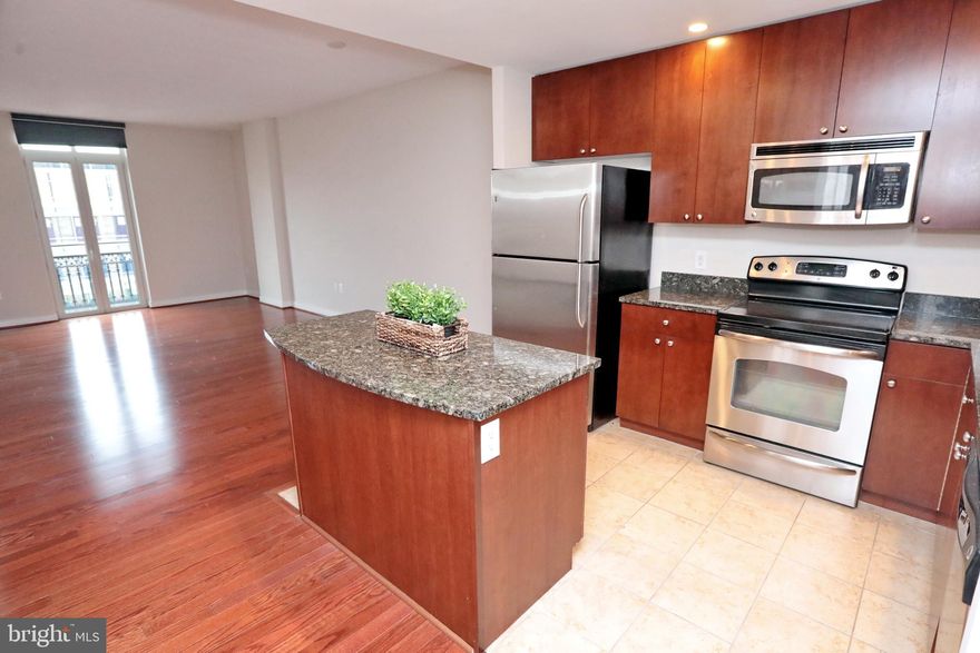 $10,000 Price REDUCTION and Freshly Painted...Condo #527 will not disappoint you - Schedule your showing today **Come live in National Harbor..the DMV's hidden Gem!! This one bedroom has a large walk-in closet with a custom closet organizer, a full kitchen w/ granite countertops, and stainless steel appliance that opens into the living room with Juliette windows, Juliette windows in Bedroom too!  If you need a larger entertaining space, there is an extensive Lounge area w/ Grand Piano to Entertain. After work or weekend, take advantage of the gym, soak up the sun on the Roof-Top Pool, and take in the views! Just steps away are waterfront dining, live entertainment,  walking/jogging/biking trails.  If you are a shopper, the Tanger Outlets are just minutes away; Plus don't forget the famous MGM.   Take the Water Taxi to Washington National Games, the Warf, Georgetown, and Old Town Alexandria!! *** Residents can Enjoy Discounts throughout the Harbor*** Get ready to call 155 Potomac Passage Condo  #527 Home...Life is Good in National Harbor!