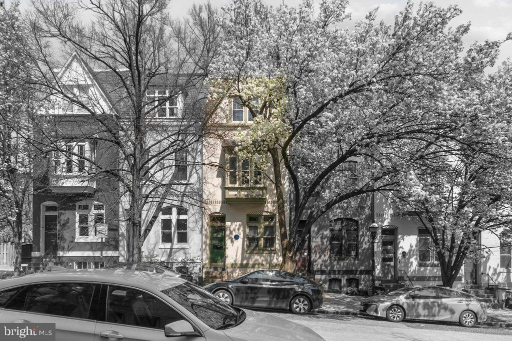 BOLTON HILL HISTORIC DISTRICT - Residential