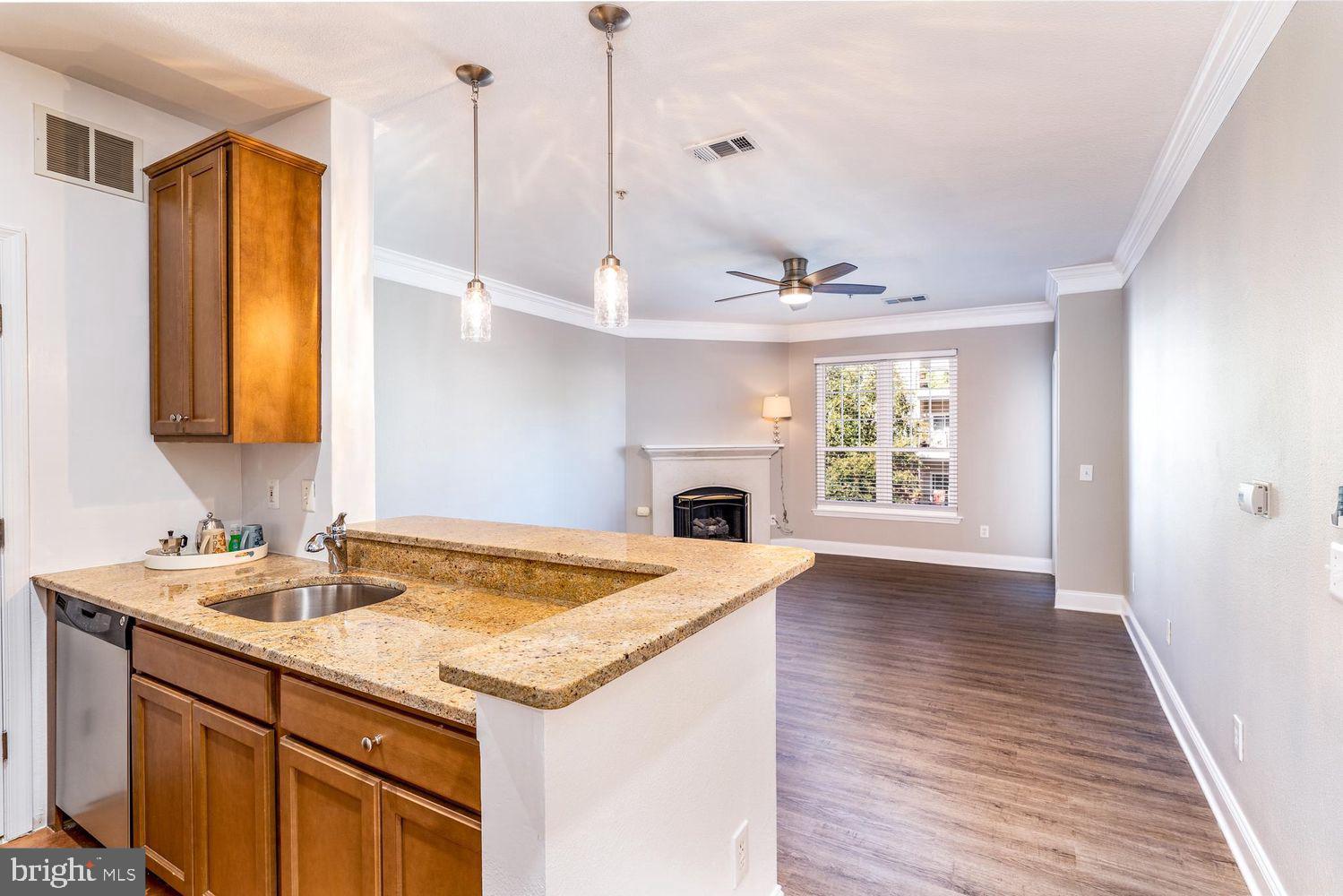 1581 SPRING GATE DRIVE 5307