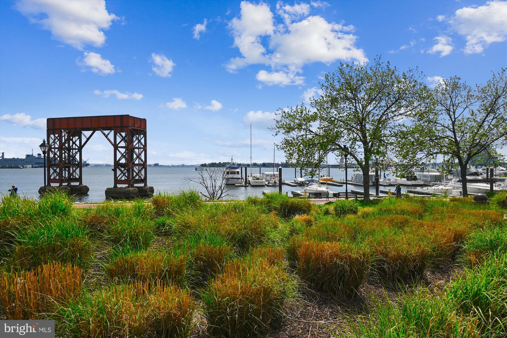 CANTON COVE - Residential