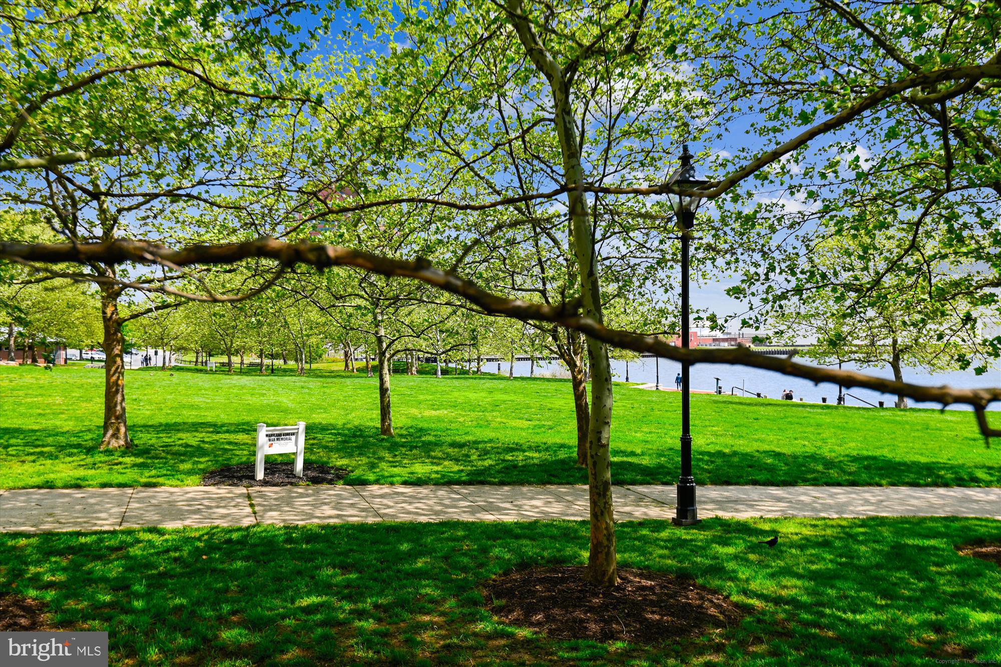 CANTON COVE - Residential