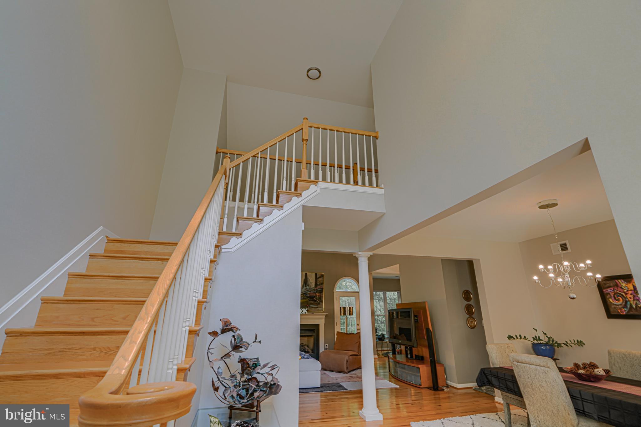 REVOLEA BEACH - Residential