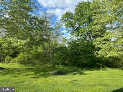 BEDMINSTER HUNT - Residential