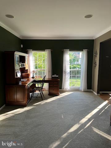 BEDMINSTER HUNT - Residential