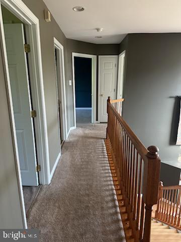 BEDMINSTER HUNT - Residential