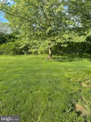 BEDMINSTER HUNT - Residential