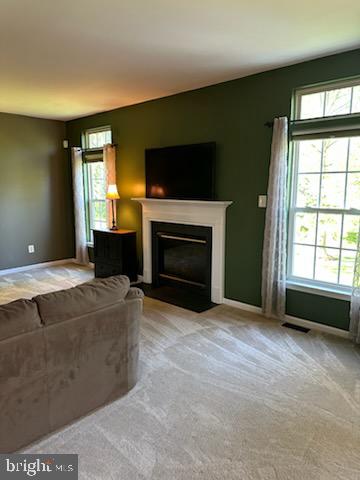 BEDMINSTER HUNT - Residential