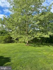 BEDMINSTER HUNT - Residential