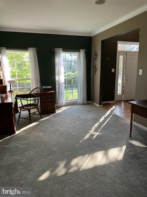 BEDMINSTER HUNT - Residential