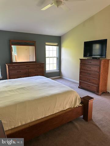 BEDMINSTER HUNT - Residential