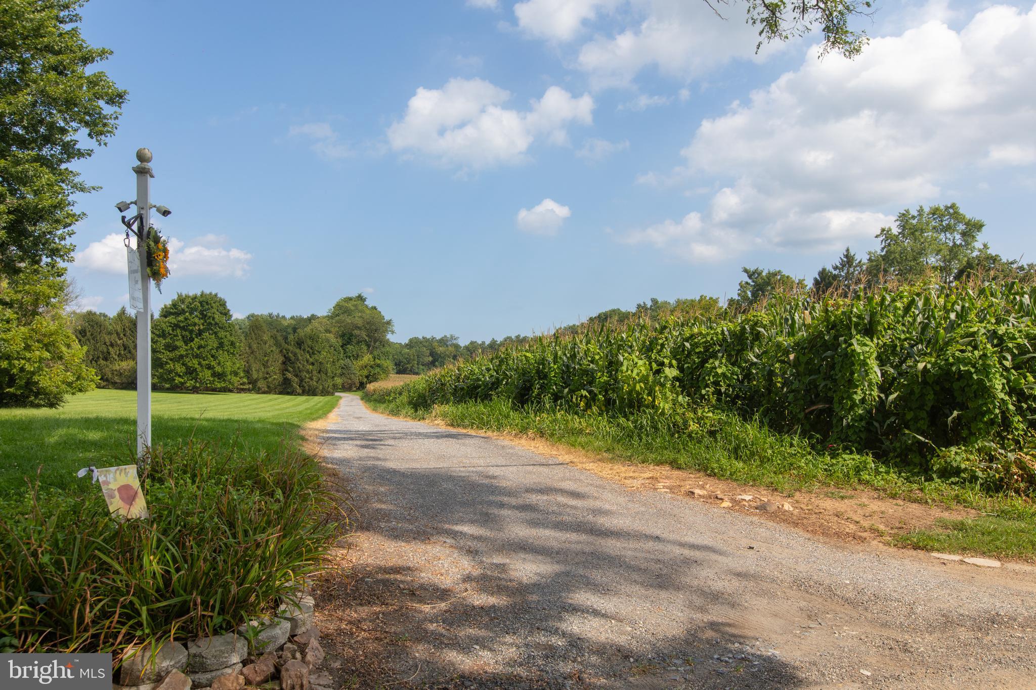 MARKOE ROAD