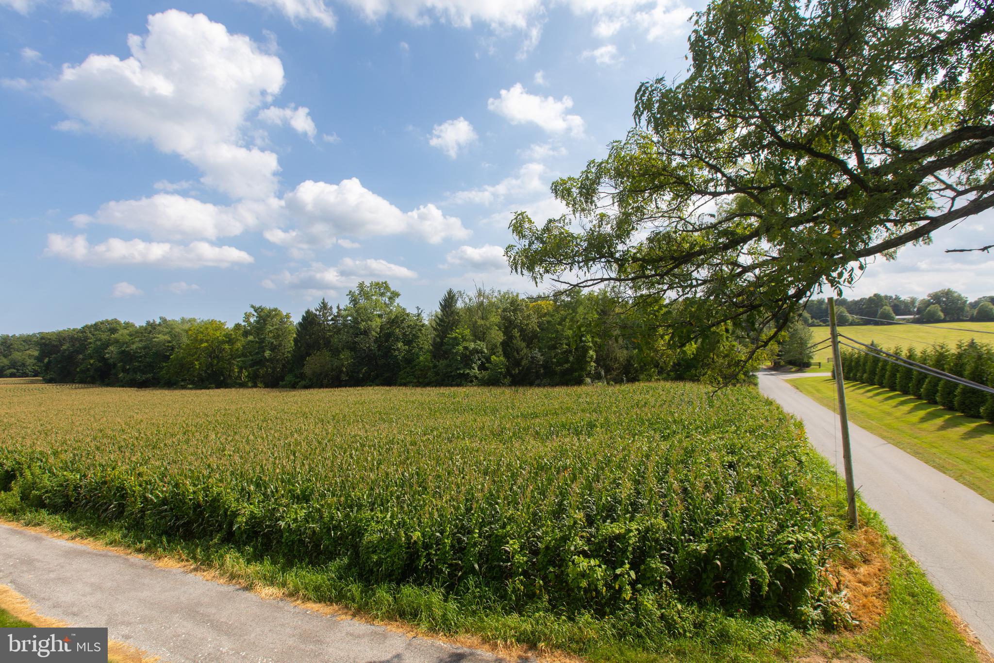 MARKOE ROAD