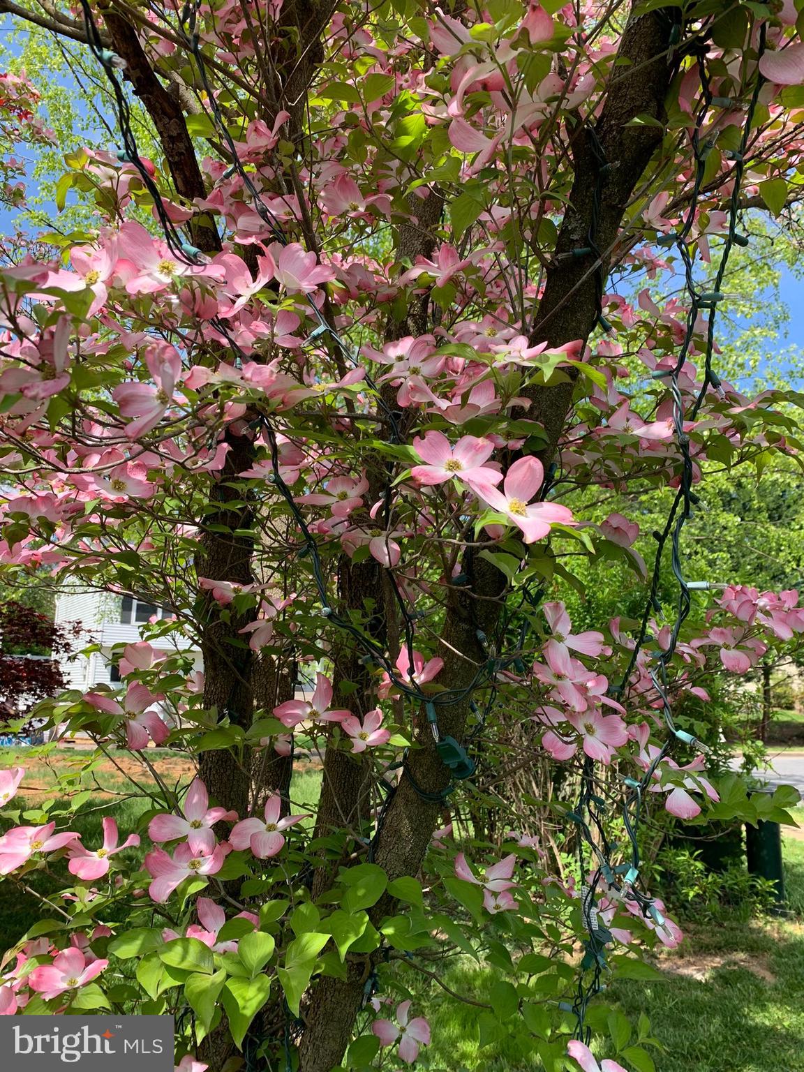 FREDERICKTOWNE VILLAGE - Residential