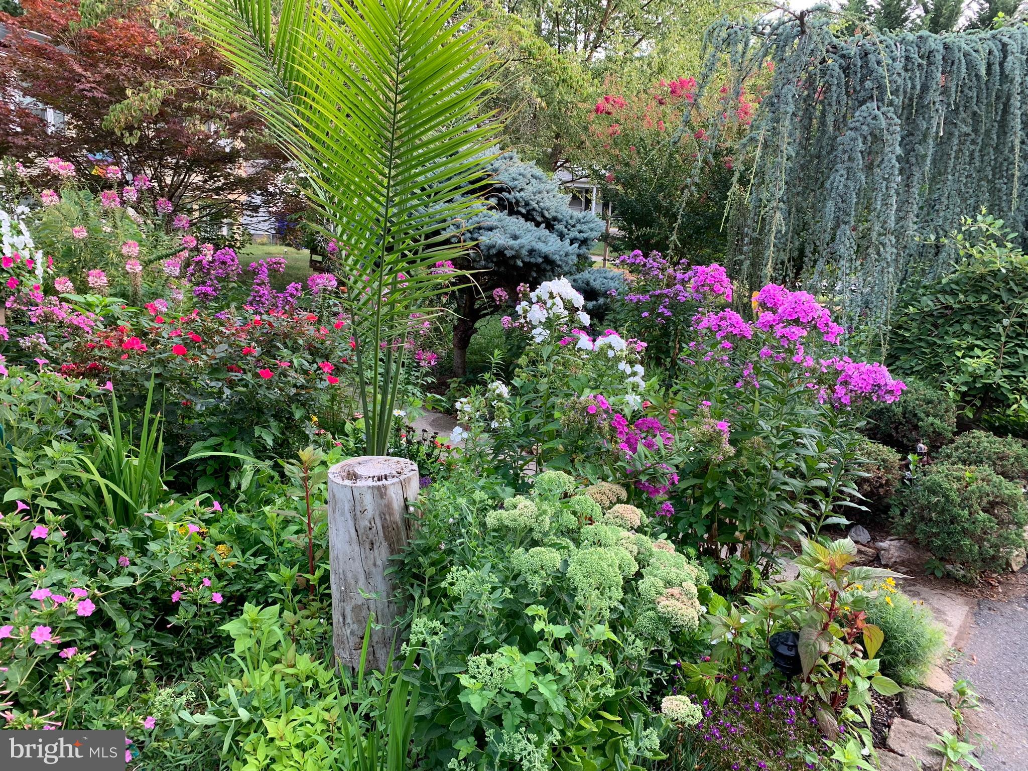 FREDERICKTOWNE VILLAGE - Residential