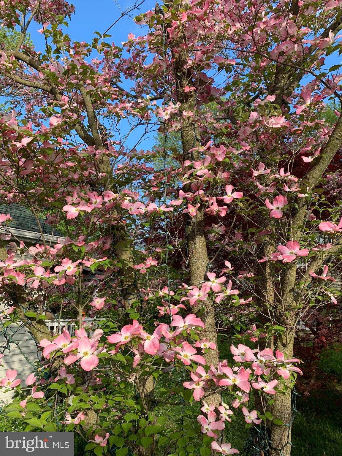 FREDERICKTOWNE VILLAGE - Residential