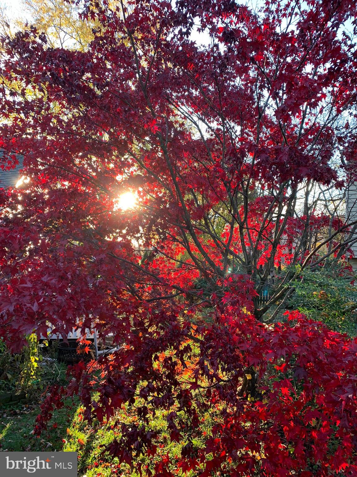 FREDERICKTOWNE VILLAGE - Residential