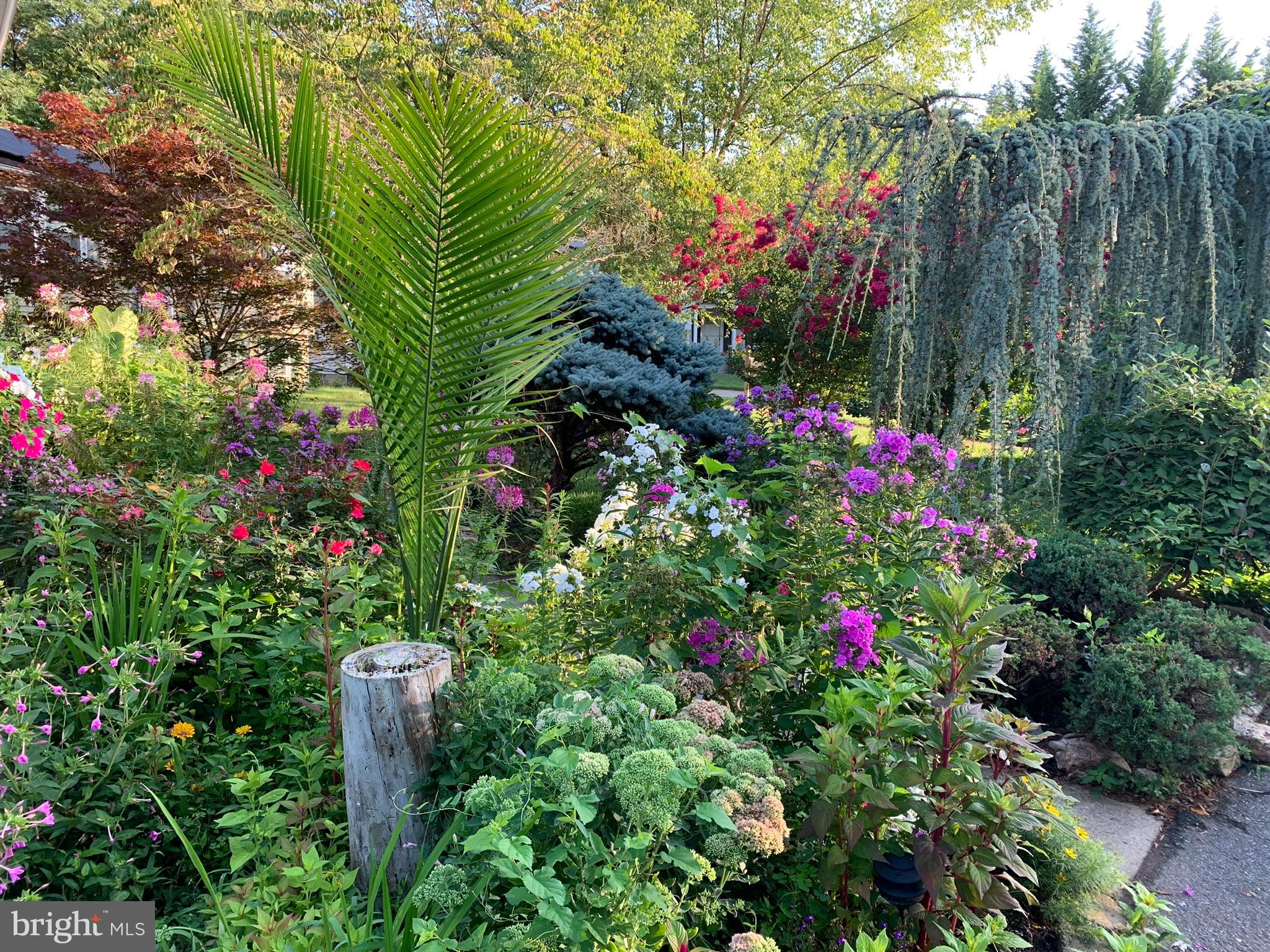 FREDERICKTOWNE VILLAGE - Residential