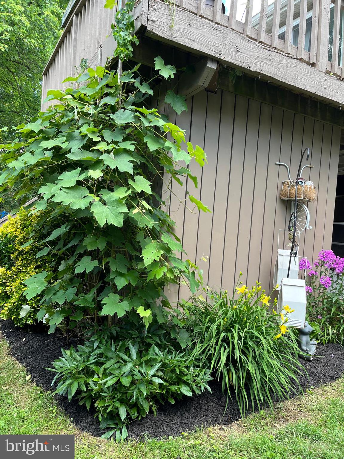 FREDERICKTOWNE VILLAGE - Residential