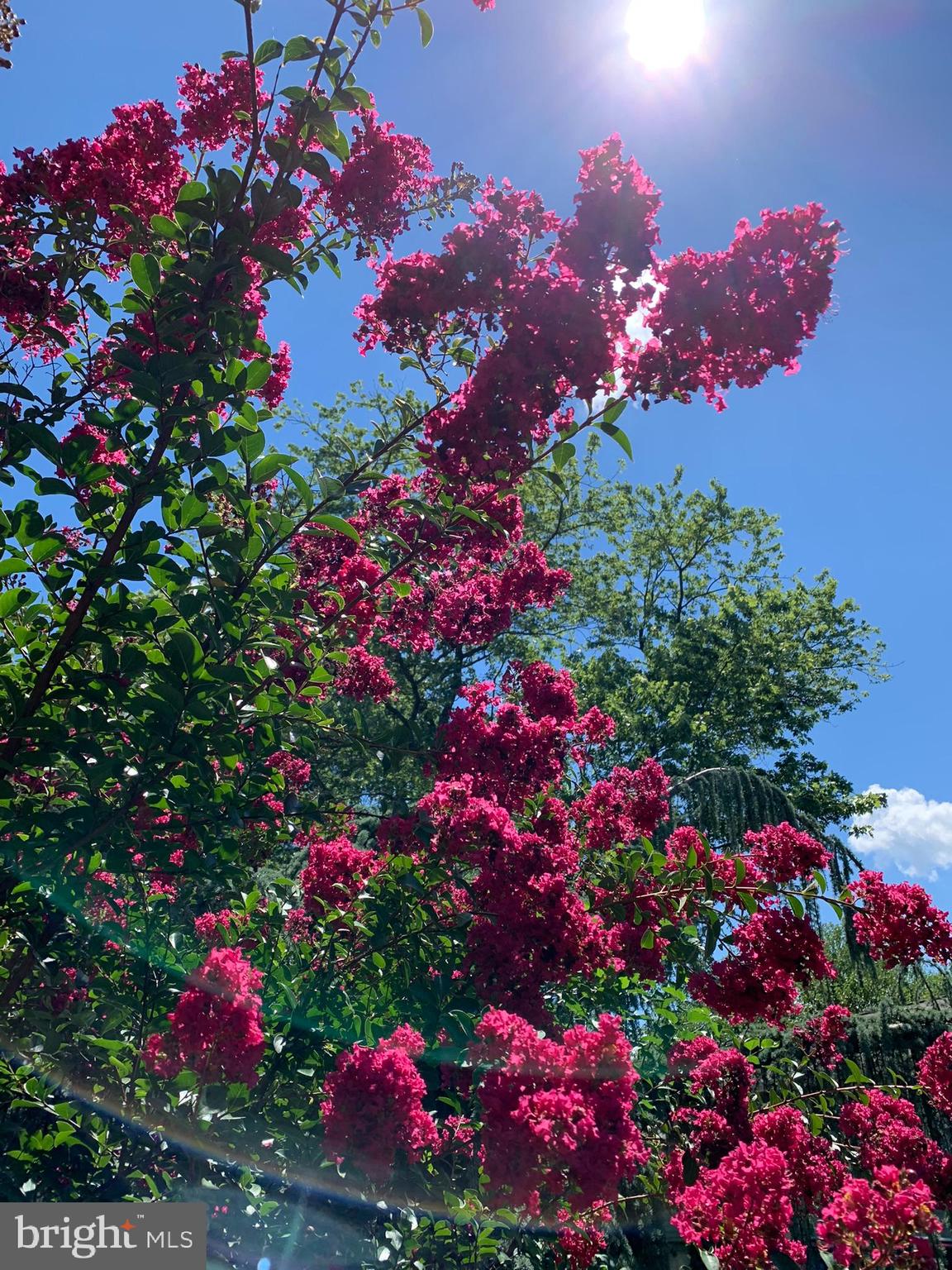 FREDERICKTOWNE VILLAGE - Residential