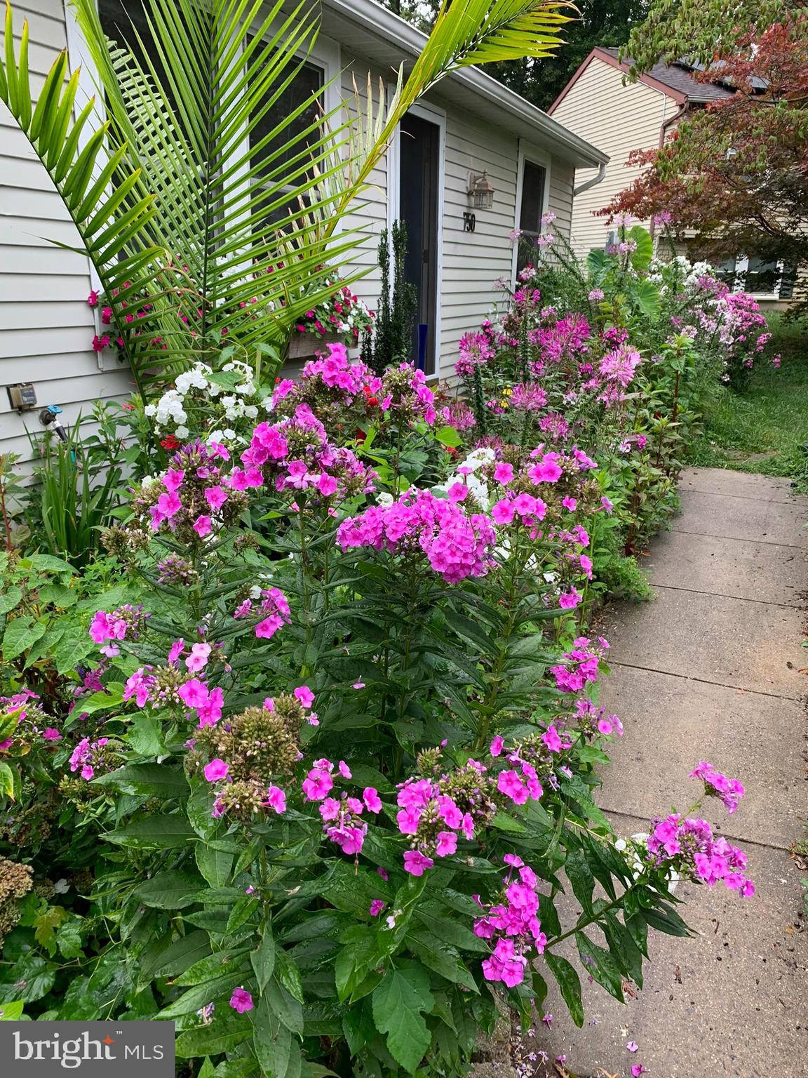 FREDERICKTOWNE VILLAGE - Residential