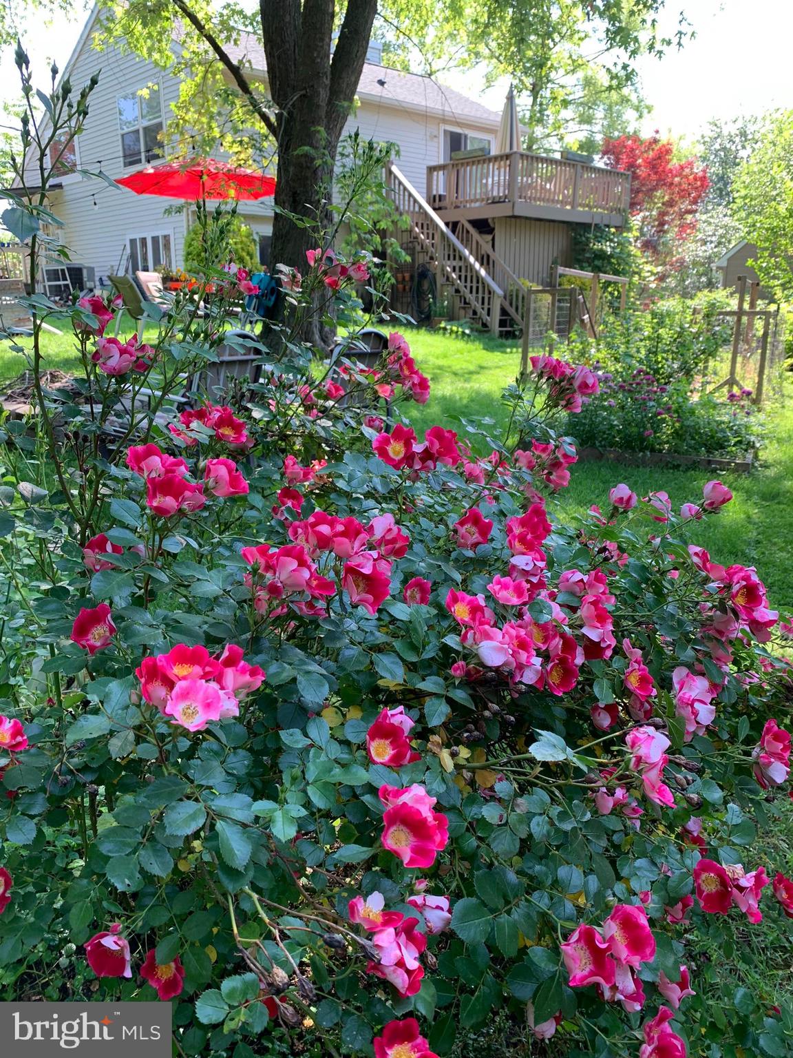 FREDERICKTOWNE VILLAGE - Residential