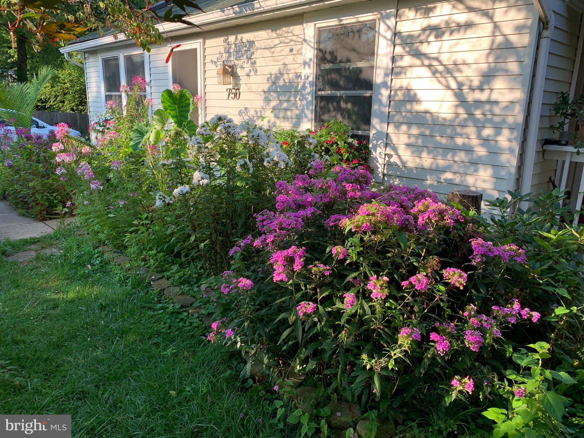 FREDERICKTOWNE VILLAGE - Residential