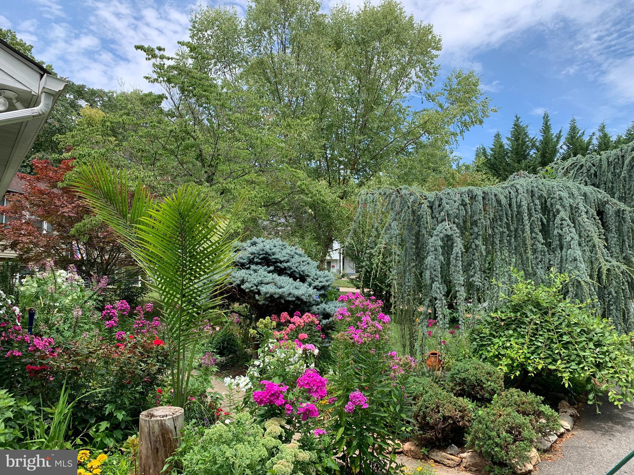 FREDERICKTOWNE VILLAGE - Residential