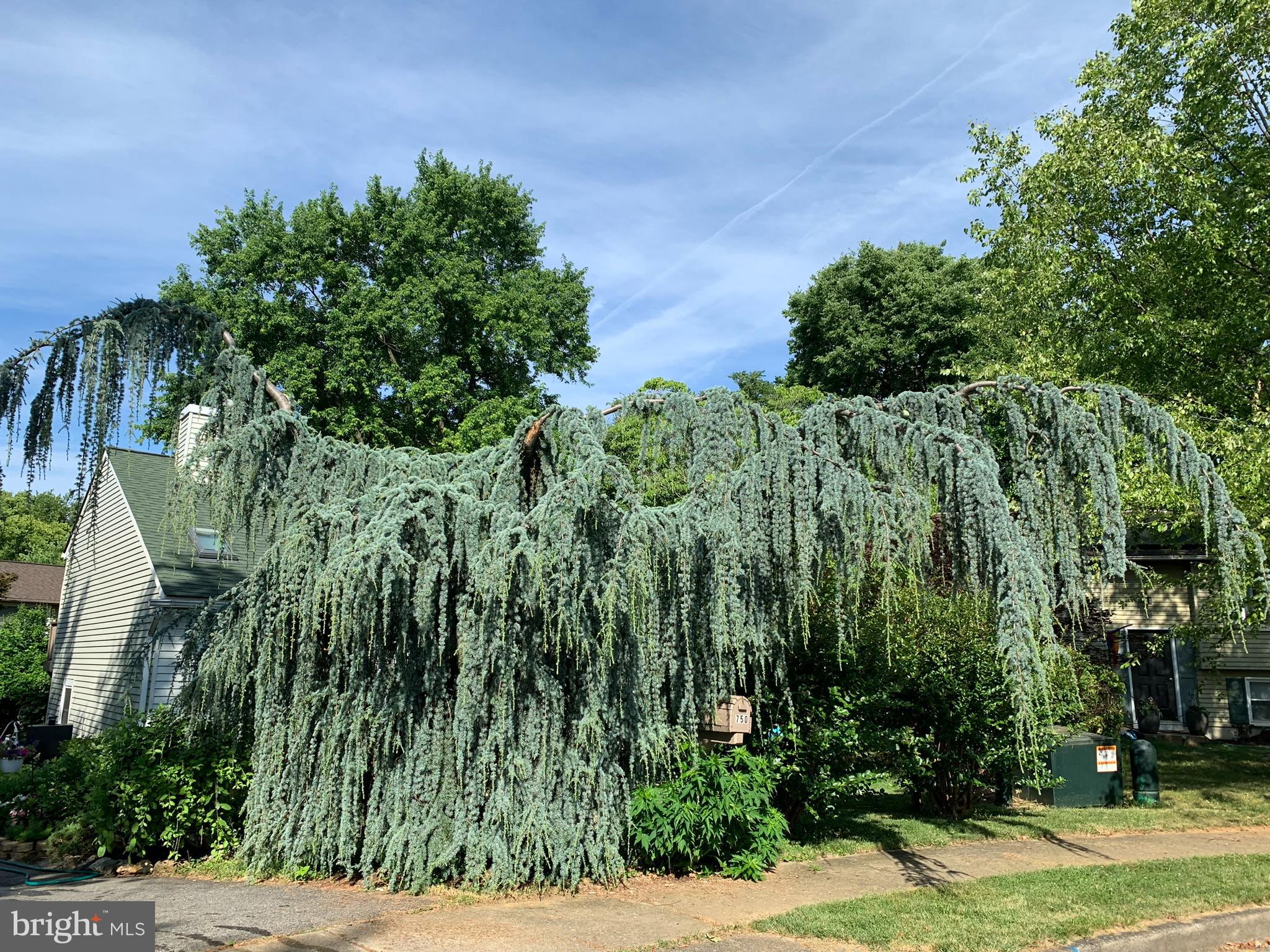 FREDERICKTOWNE VILLAGE - Residential