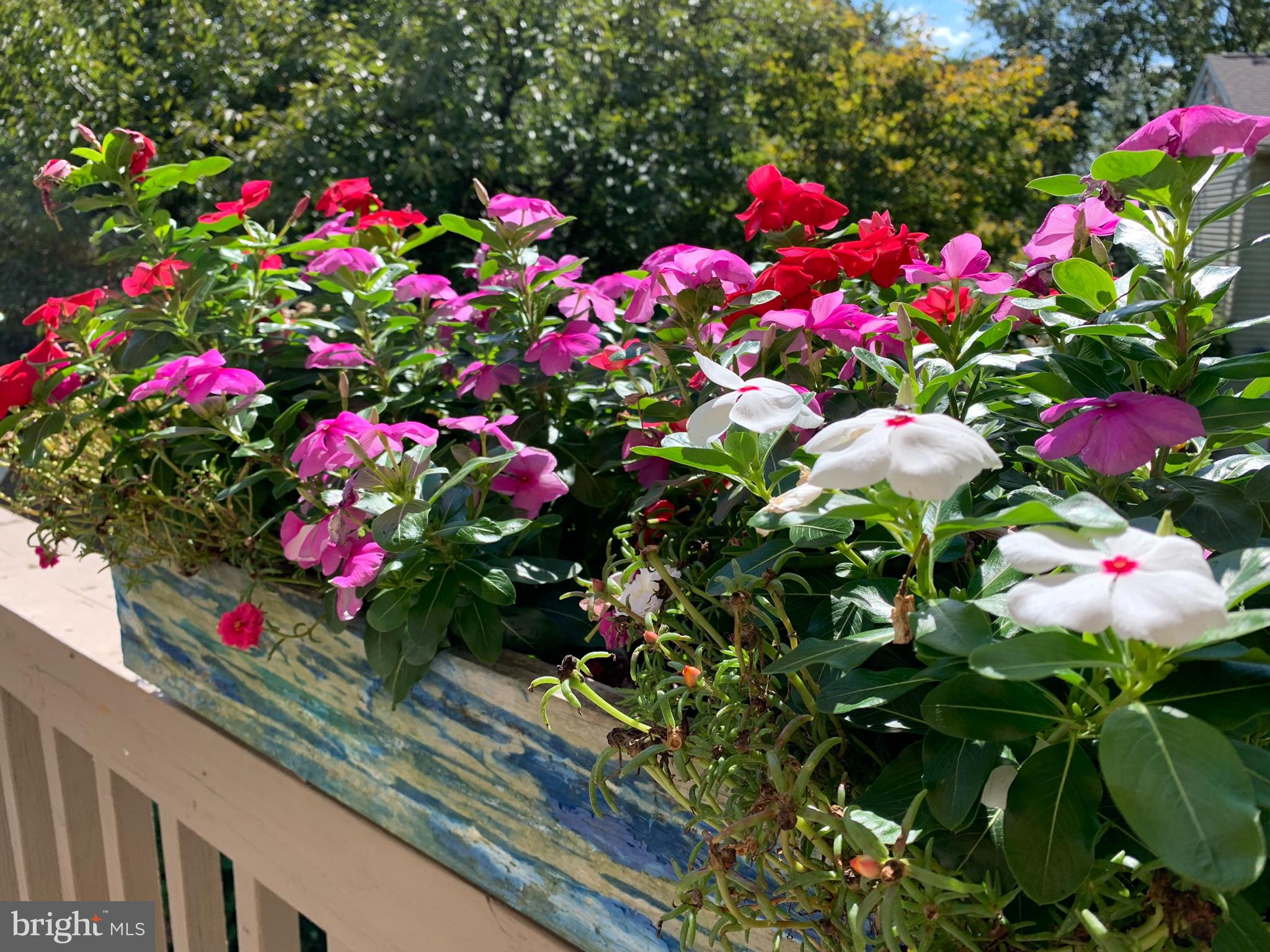 FREDERICKTOWNE VILLAGE - Residential