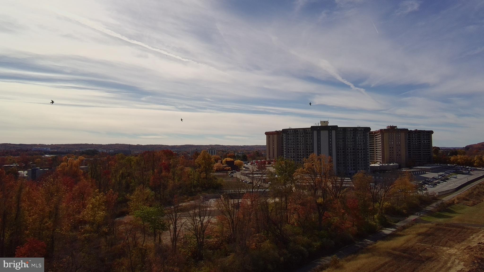 VALLEY FORGE TOWER - Residential Lease