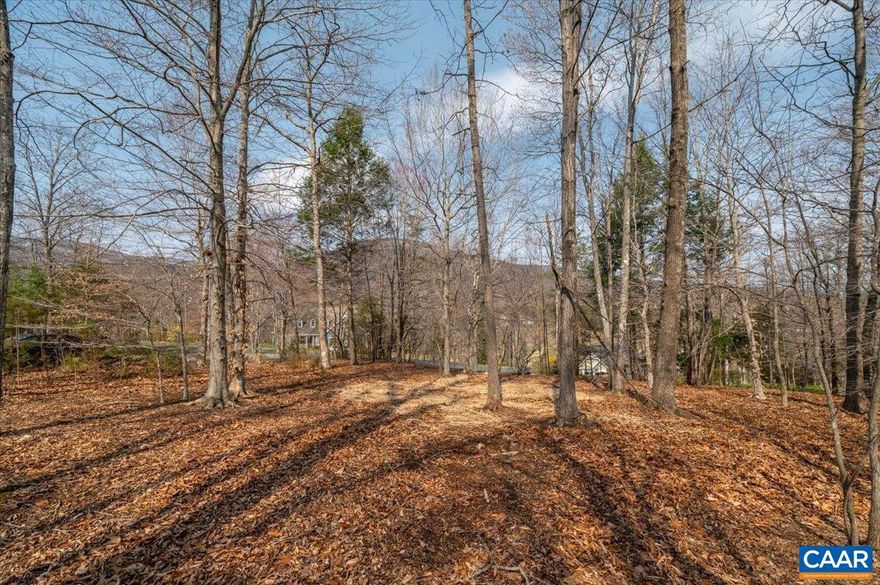 Beautiful elevated lot with level building site within highly desired section of Stoney Creek. Winter views of the surrounding mountains and fairway. One of the only buildable lots left on Cedar Glen Close. Walking distance to community trails, the Stoney Creek clubhouse, Iron and Ale restaurant, and the local Nelson County Farmer's Market. Build your dream home and join the community!