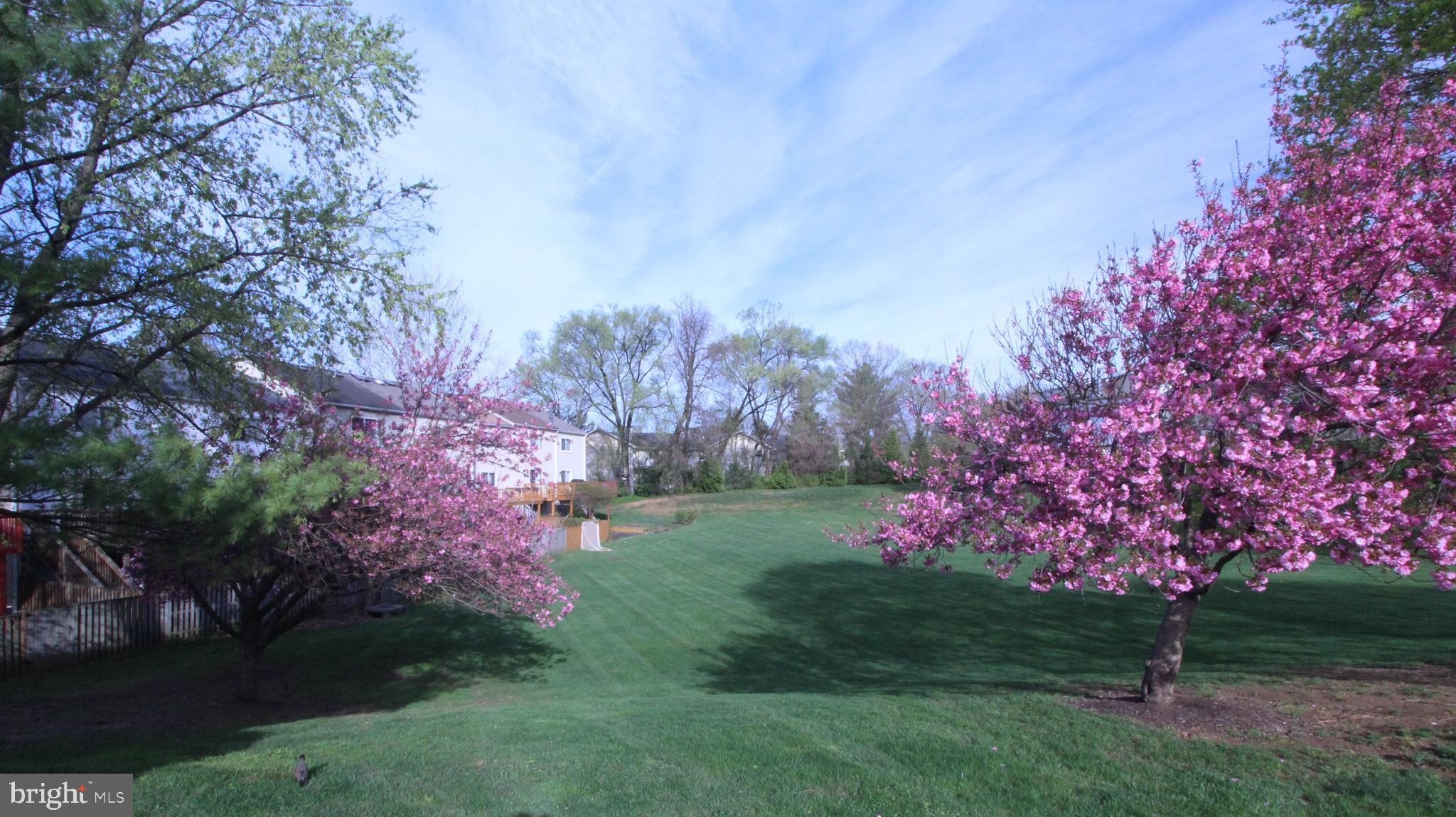 HUNT MEADOW - Residential