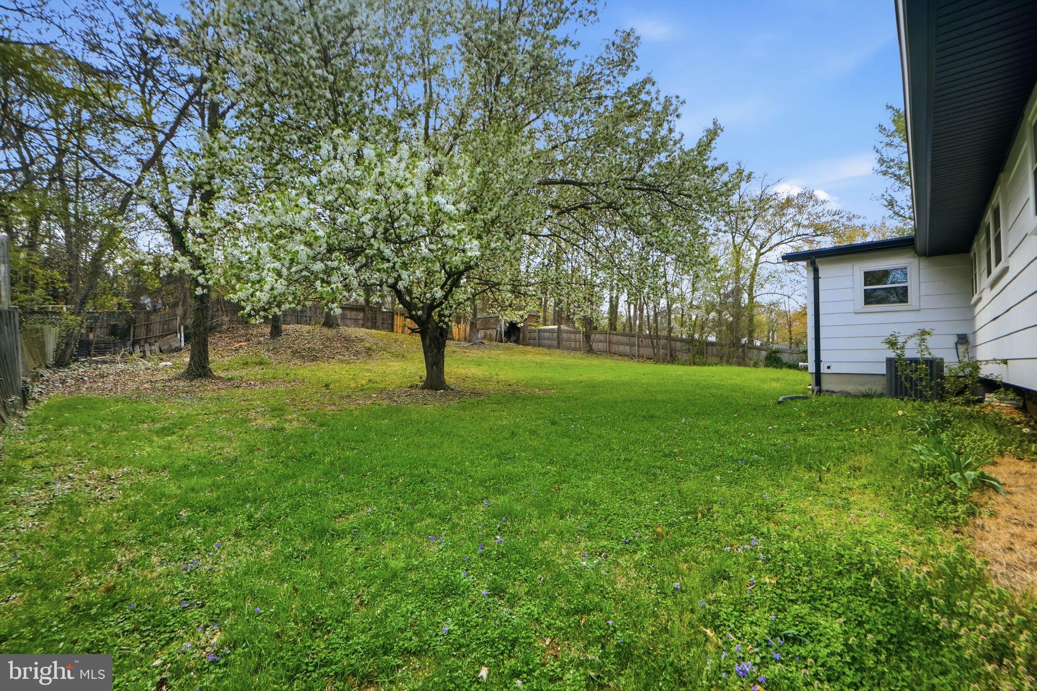 MARTINS WOODS - Residential