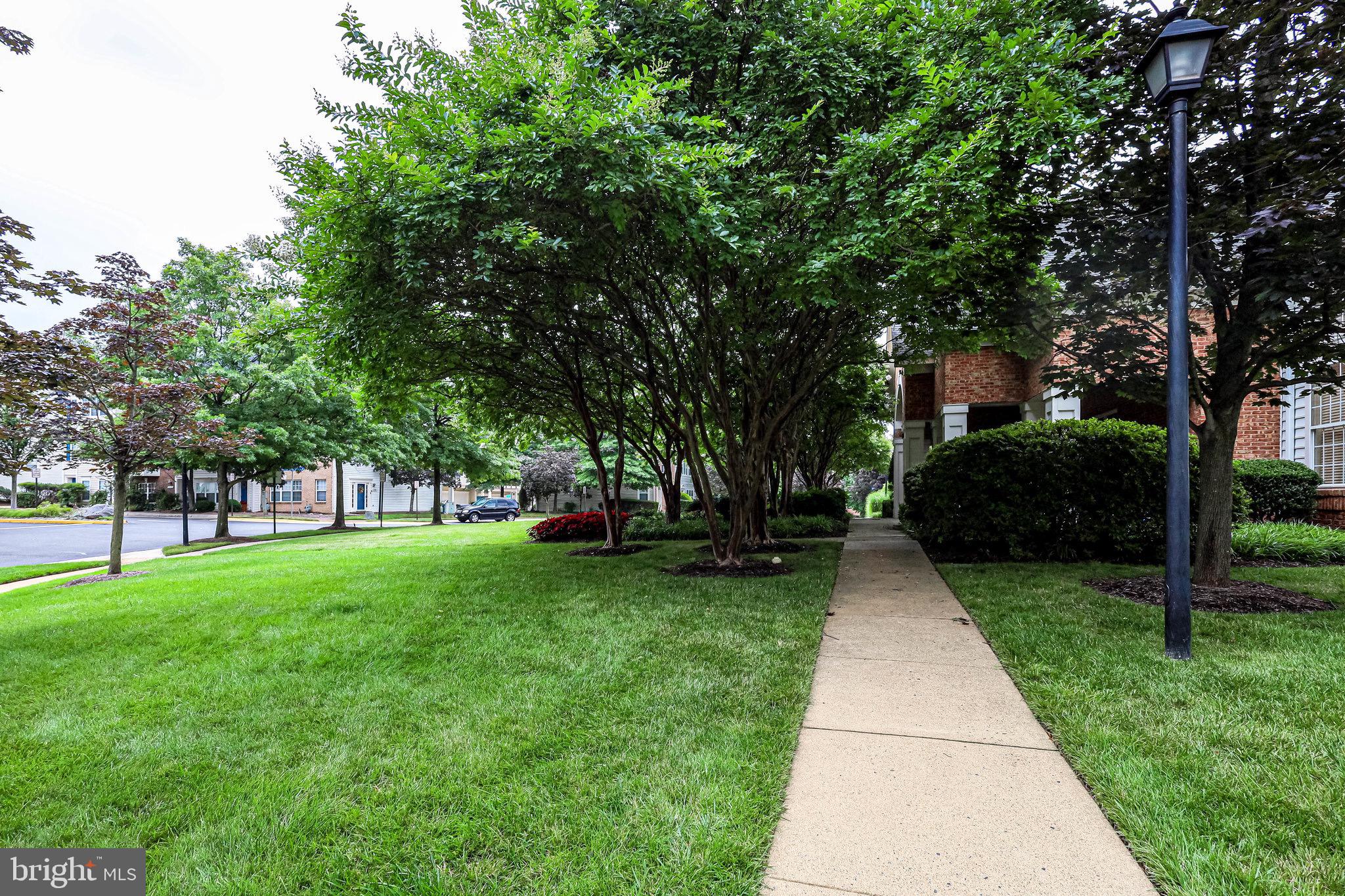 WINDY HILL AT LINCOLNIA - Residential